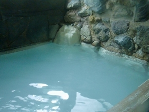 仏岩温泉 鈴森の湯